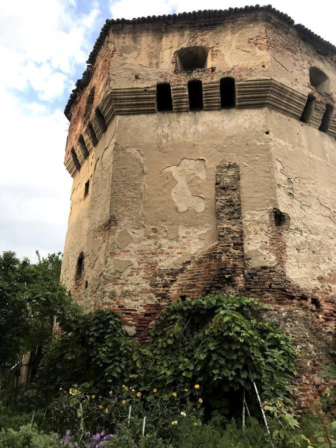 Tanners Tower Condo With A Fireplace Sybin Zewnętrze zdjęcie